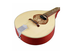 Mandolin Português image 3