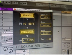 HoRNet Plugins TheNormalizer image 3
