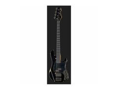Sandberg Terrabass Oliver Riedel Signature image 2