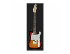 Harley Benton TE-20 SB Standard Series image 2