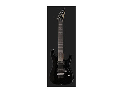 LTD MH-10 image 2