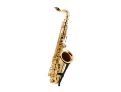 Startone STS-75 Bb Tenor Saxophone image 3