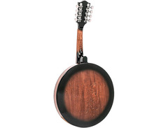 Mandolin-banjo image 2