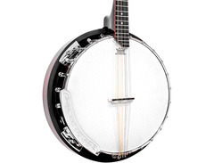 Mandolin-banjo image 3