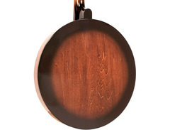 Mandolin-banjo image 4