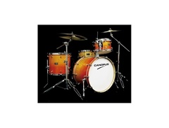Canopus R.F.M Series image 2