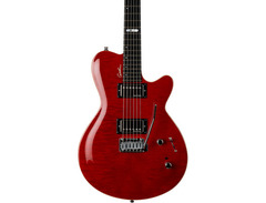Godin DS-1 Daryl Stuermer Custom image 3