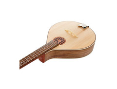 Artist Mandolin image 4