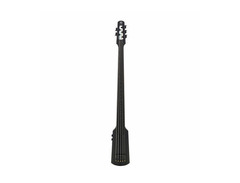 5-String Omni Bass image 2
