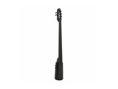 5-String Omni Bass image 3