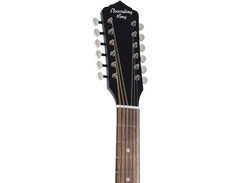 Recording King dirty 30's 12-string dreadnought acoustic guitar image 3