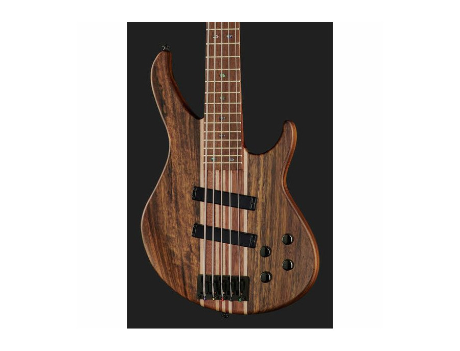 Harley Benton HBZ-2005 - What To Know & Where To Buy | Equipboard