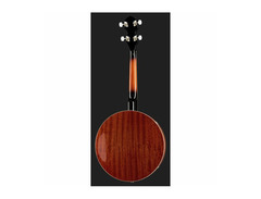 Tenor Banjo image 3
