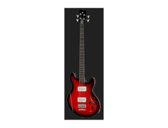 Warwick Sklar Signature Bass image 2