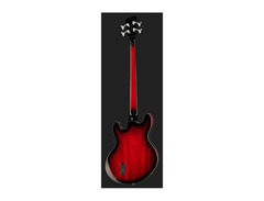 Warwick Sklar Signature Bass image 3