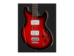 Warwick Sklar Signature Bass image 4