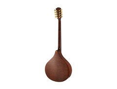 Galway Irish Concert Bouzouki image 2