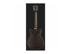 Ibanez 6 String Semi-Hollow-Body image 2