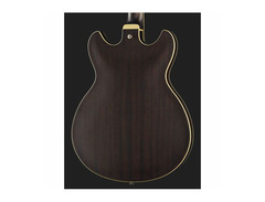 Ibanez 6 String Semi-Hollow-Body image 3