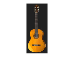 Yamaha C80 image 2