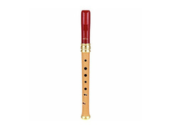 Mol­le­n­hauer 1119R Adris Dream Recorder image 2