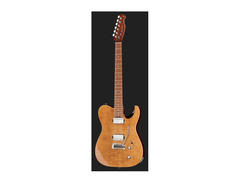 Harley Benton Fusion T image 2