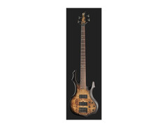 LTD F-4E Bass image 2