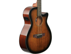 Ibanez AEG5012 12-string Acoustic-Electric Guitar image 2