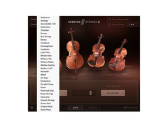 Session Strings 2 image 3