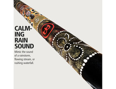 Meinl Rainstick RS1BK-L image 2