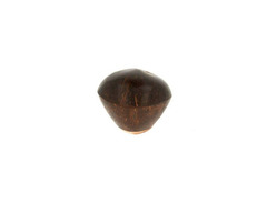 Terre Shaker Coconut image 4