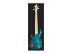 Dingwall Nolly Getgood Signature NG3 image 3