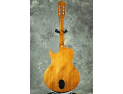 washburn eact42s image 2