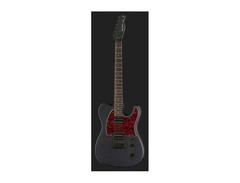 Harley Benton TE-20HH Standard Series image 2
