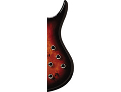 Mtd Kingston Kz 6-String Bass image 4