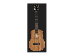 Furch Little Jane LJ 10-MM image 2