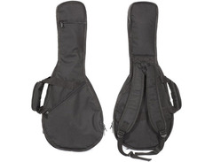 Eastman MD-305 image 2