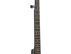 Gold Tone AC-1 image 3