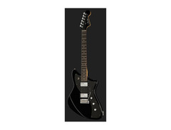 Fender Player Plus Meteora image 2