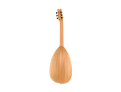 Lute Guitar image 2