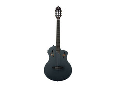 Ortega Guitars Ortega Tour Player image 2