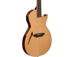 ESP LTD TL-6N image 2