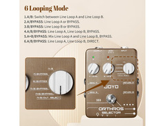 Joyo JF24 Orthros Selector image 4