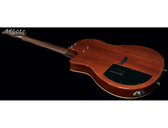 Anderson Guitarworks Crowdster Plus 2 image 2