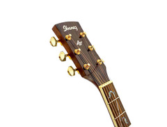 Ibanez AW40NT image 3