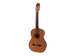 Raimundo Guitars mod 123 image 2