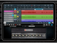Nembrini Audio Cali Reverb Modern High Gain Guitar Amplifier image 3