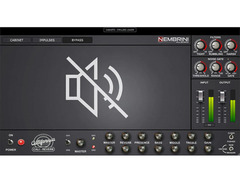Nembrini Audio Cali Reverb Modern High Gain Guitar Amplifier image 4
