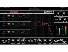 Nembrini Audio Faceman 2-Channel Head Guitar and Bass Amplifier image 3