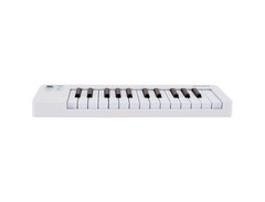 Arturia MicroLab mk3 25-key Keyboard Controller image 4